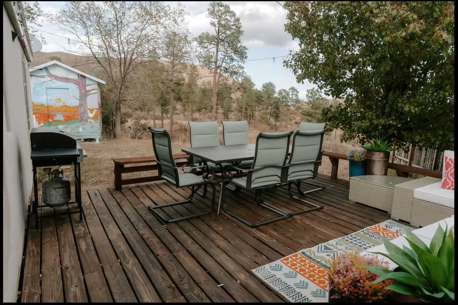 Backyard and outdoor area